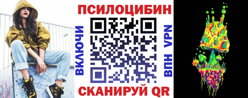 блэк спрут вход  где купить наркотик  Богородицк  Псилоцибиновые грибы ЛСД 